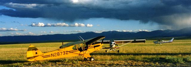 990714cpe-24_Super_Cub_and_C205_(135-123)