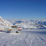 Mousquetaire and Husky in the French Alps