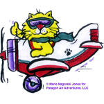 TomCat